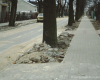 m11-poland-03-019
