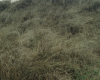 m12-poland-09-056