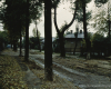m12-poland-16-015