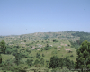 m16-south-africa-07-044