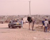 m16-mauritania-02-038