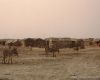 m16-mauritania-02-048