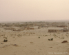 m16-mauritania-02-056