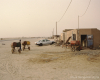 m16-mauritania-02-045