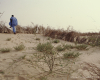 m16-mauritania-01-017