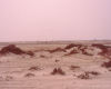 m16-mauritania-02-014