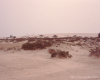 m16-mauritania-02-013