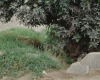 m26-latin-america-06-019