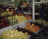 m26-latin-america-07-017