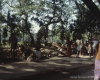 m45-india-mumbai-06-003