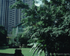 m45-singapore-03-001