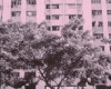 m45-singapore-05-005
