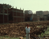 m01-egypt-cairo-07-005
