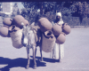 m01-egypt-cairo-10-015