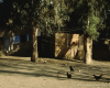 m02-egypt-cairo-68-009