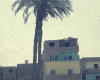 m02-egypt-cairo-50-003