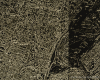 m02-egypt-cairo-60-003