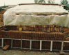 m03-latin-america-07-006