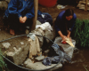 m03-latin-america-08-004
