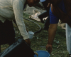 m03-latin-america-08-015