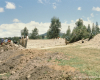 m03-latin-america-08-019
