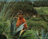 m03-latin-america-08-026