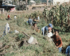 m03-latin-america-08-027