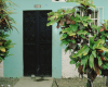 m03-latin-america-14-004