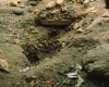 m03-latin-america-14-012