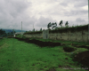 m03-latin-america-14-019