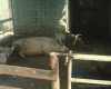 m03-latin-america-17-003