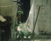 m03-latin-america-19-002