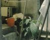 m03-latin-america-19-004