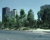m03-latin-america-20-024