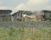 m03-latin-america-24-005