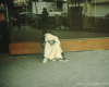 m03-latin-america-26-001