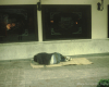 m03-latin-america-26-003