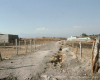m03-latin-america-29-010