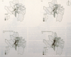 m03-latin-america-05-014
