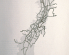 m03-latin-america-05-019