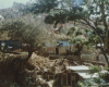 m03-latin-america-31-018