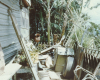 m03-latin-america-34-027