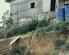 m03-latin-america-37-004