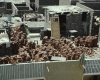 m01-egypt-cairo-47-004