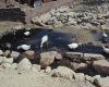 m01-egypt-cairo-49-006