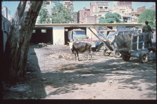 lahore-pak-l-12-002