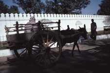lahore-pak-l-14-034