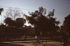 lahore-pak-l-14-044