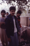 lahore-pak-l-16-007