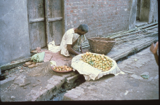 lahore-pak-l-26-006